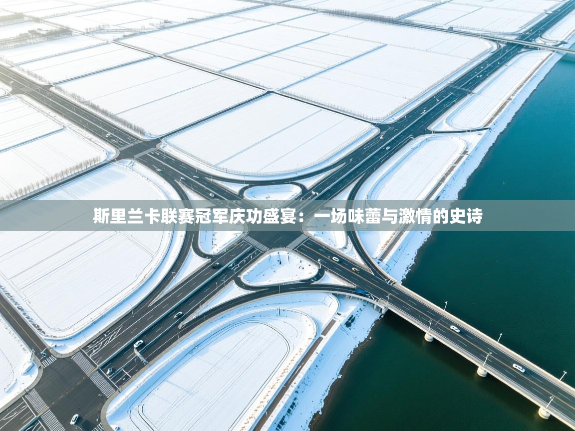 斯里兰卡联赛冠军庆功盛宴:一场味蕾与激情的史诗 第1张